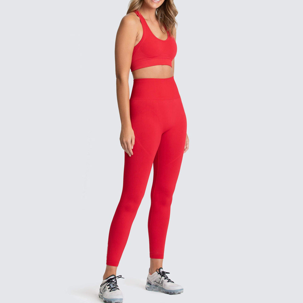 Fitness Sport Legging Set for Women Girls Sports Clothes Sets Seamless Workout Running Sport Wear