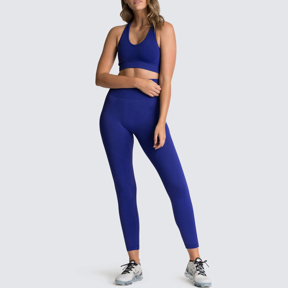 Fitness Sport Legging Set for Women Girls Sports Clothes Sets Seamless Workout Running Sport Wear