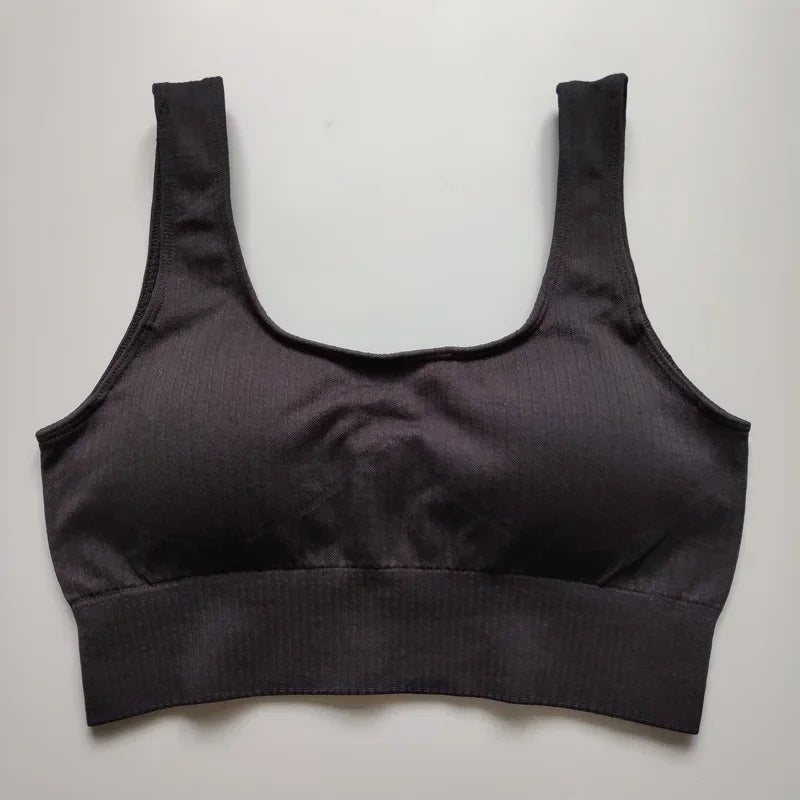 Nepoagym RIBBON Women Seamless Bra Sport Bra Top  Yoga Bra Sports Bra Sports Wear for Women Gym Seamless Top Gym Sport Bra Women