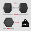 Haltère courte poids 20 Kg - 1 pièce, Haltère hexagonale entraînement musculaire & haltérophilie - métal caoutchouc noir